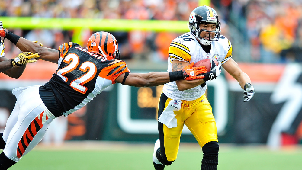 Jerome Bettis compares Troy Polamalu's situation to Hines Ward's